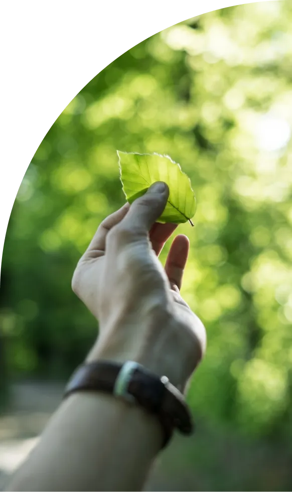 Bilancio di sostenibilità e rendicontazione ESG per le imprese