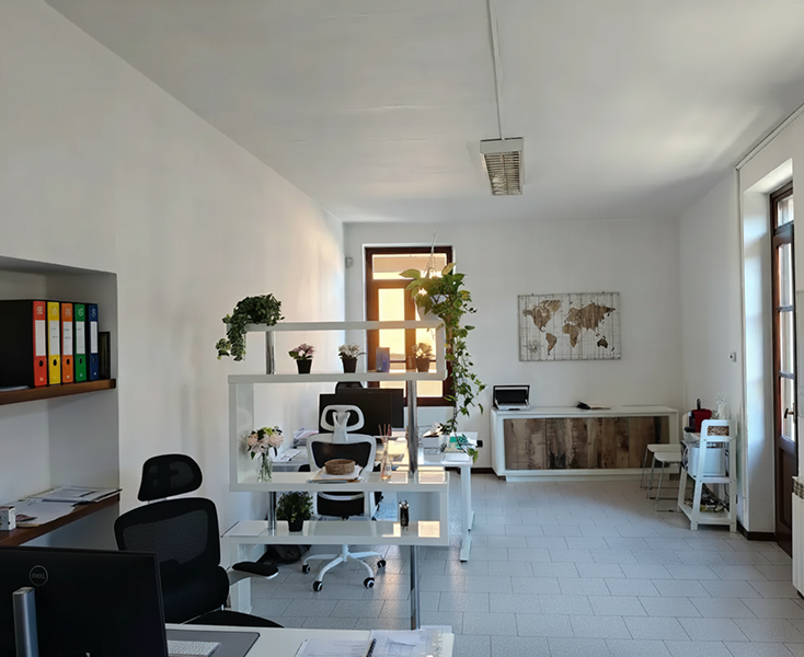 Azienda 81 Consulting